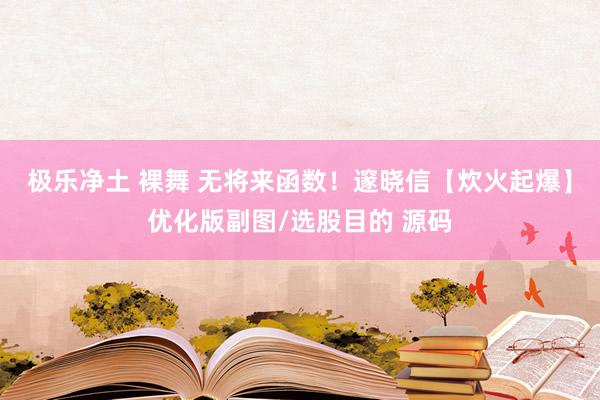 极乐净土 裸舞 无将来函数！邃晓信【炊火起爆】优化版副图/选股目的 源码