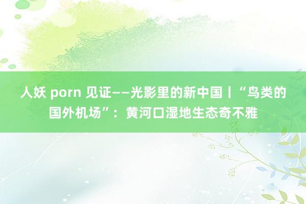 人妖 porn 见证——光影里的新中国丨“鸟类的国外机场”：黄河口湿地生态奇不雅