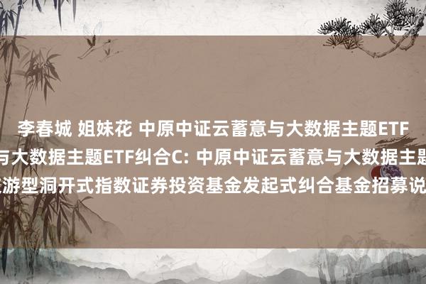 李春城 姐妹花 中原中证云蓄意与大数据主题ETF纠合A，中原中证云蓄意与大数据主题ETF纠合C: 中原中证云蓄意与大数据主题交游型洞开式指数证券投资基金发起式纠合基金招募说明书更新(2024年11月7日公告)