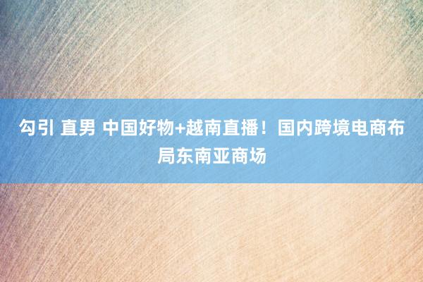 勾引 直男 中国好物+越南直播！国内跨境电商布局东南亚商场