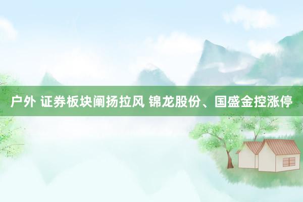 户外 证券板块阐扬拉风 锦龙股份、国盛金控涨停