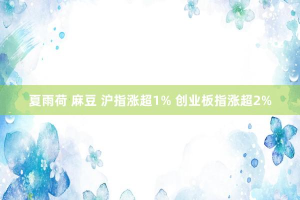 夏雨荷 麻豆 沪指涨超1% 创业板指涨超2%