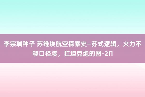 李宗瑞种子 苏维埃航空探索史—苏式逻辑，火力不够口径凑，扛坦克炮的图-2П