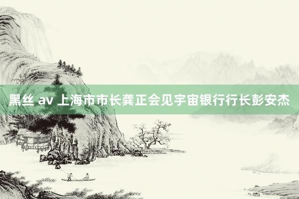 黑丝 av 上海市市长龚正会见宇宙银行行长彭安杰