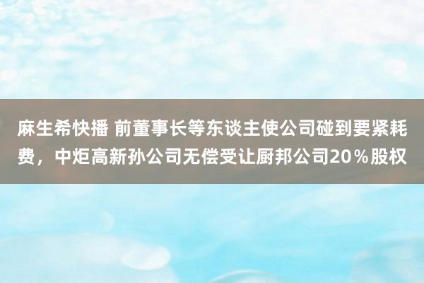 麻生希快播 前董事长等东谈主使公司碰到要紧耗费，中炬高新孙公司无偿受让厨邦公司20％股权