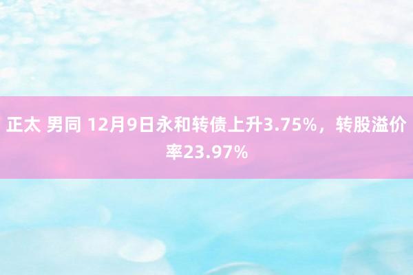 正太 男同 12月9日永和转债上升3.75%，转股溢价率23.97%