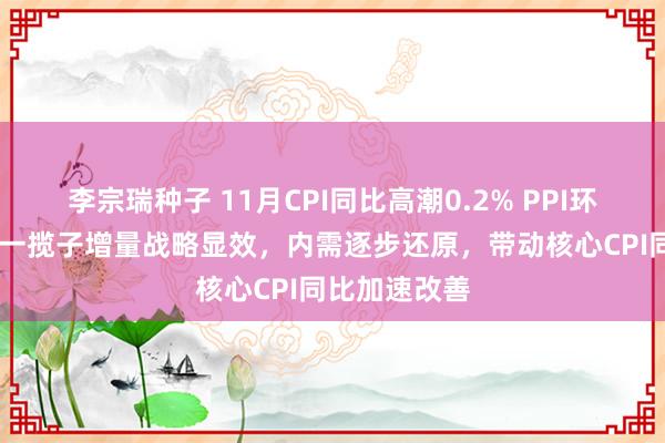 李宗瑞种子 11月CPI同比高潮0.2% PPI环比增速转正 一揽子增量战略显效，内需逐步还原，带动核心CPI同比加速改善
