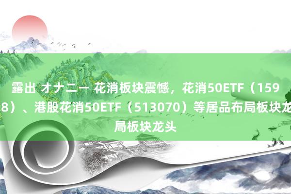 露出 オナニー 花消板块震憾，花消50ETF（159798）、港股花消50ETF（513070）等居品布局板块龙头