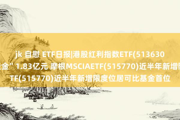 jk 自慰 ETF日报|港股红利指数ETF(513630)近5个来以前狡计“吸金”1.83亿元 摩根MSCIAETF(515770)近半年新增限度位居可比基金首位