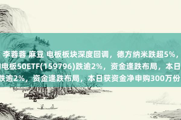 李蓉蓉 麻豆 电板板块深度回调，德方纳米跌超5%，限度最大、费率最低的电板50ETF(159796)跌逾2%，资金逢跌布局，本日获资金净申购300万份！