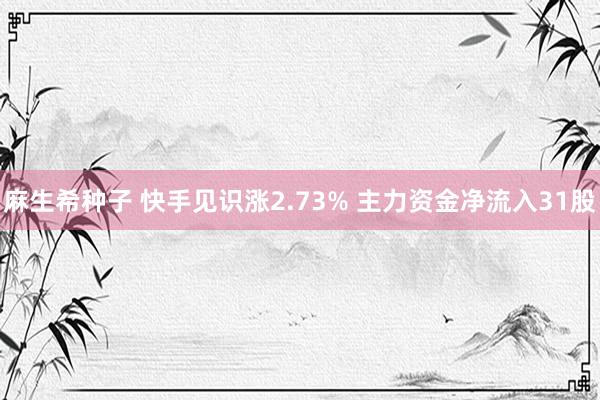 麻生希种子 快手见识涨2.73% 主力资金净流入31股