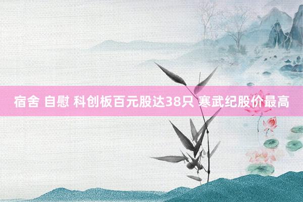宿舍 自慰 科创板百元股达38只 寒武纪股价最高