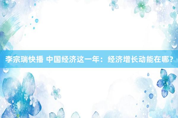 李宗瑞快播 中国经济这一年：经济增长动能在哪？