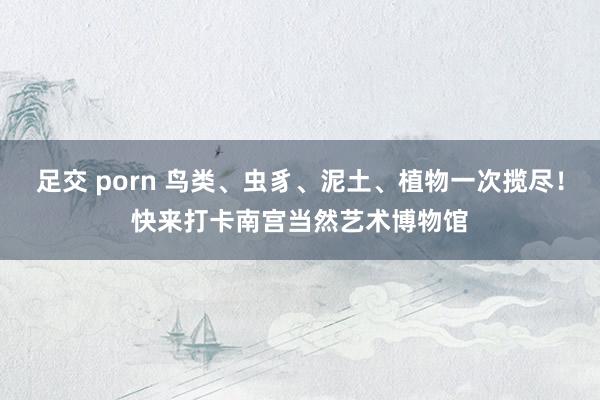 足交 porn 鸟类、虫豸、泥土、植物一次揽尽！快来打卡南宫当然艺术博物馆
