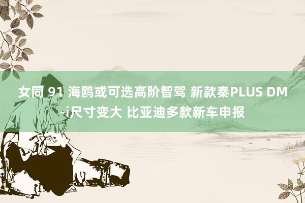 女同 91 海鸥或可选高阶智驾 新款秦PLUS DM-i尺寸变大 比亚迪多款新车申报
