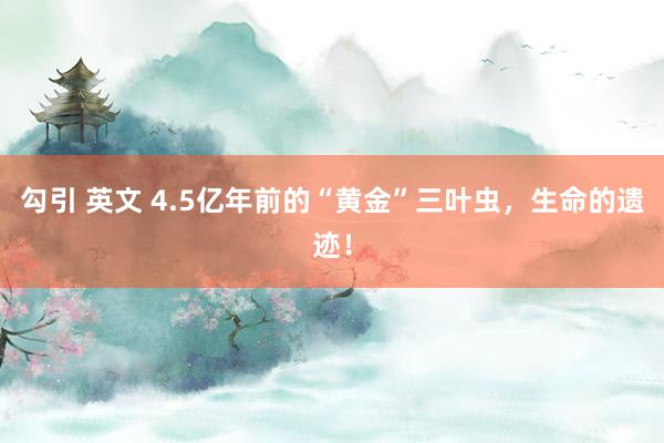 勾引 英文 4.5亿年前的“黄金”三叶虫，生命的遗迹！