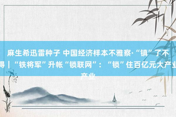 麻生希迅雷种子 中国经济样本不雅察·“镇”了不得｜“铁将军”升帐“锁联网”：“锁”住百亿元大产业