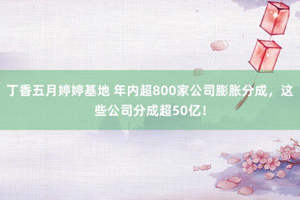 丁香五月婷婷基地 年内超800家公司膨胀分成，这些公司分成超50亿！