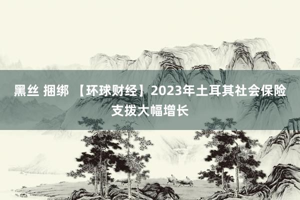黑丝 捆绑 【环球财经】2023年土耳其社会保险支拨大幅增长