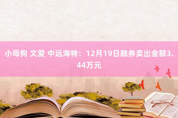 小母狗 文爱 中远海特：12月19日融券卖出金额3.44万元