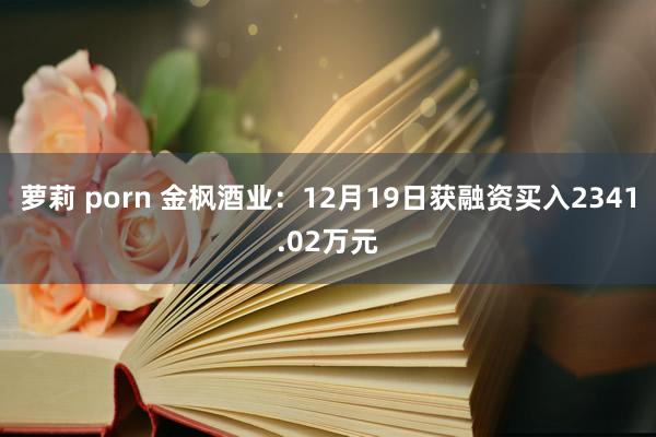 萝莉 porn 金枫酒业：12月19日获融资买入2341.02万元