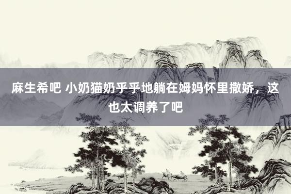 麻生希吧 小奶猫奶乎乎地躺在姆妈怀里撒娇，这也太调养了吧