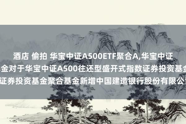 酒店 偷拍 华宝中证A500ETF聚合A，华宝中证A500ETF聚合C: 华宝基金对于华宝中证A500往还型盛开式指数证券投资基金聚合基金新增中国建造银行股份有限公司为代销机构的公告