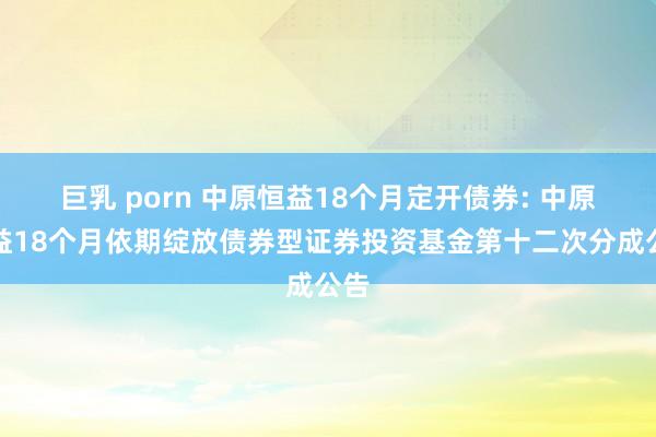 巨乳 porn 中原恒益18个月定开债券: 中原恒益18个月依期绽放债券型证券投资基金第十二次分成公告