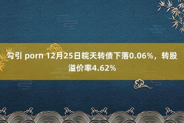 勾引 porn 12月25日皖天转债下落0.06%，转股溢价率4.62%