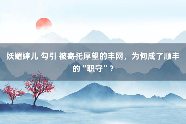 妖媚婷儿 勾引 被寄托厚望的丰网，为何成了顺丰的“职守”？