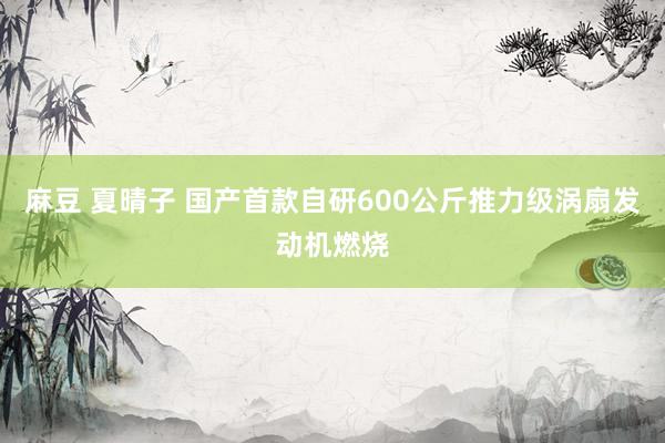 麻豆 夏晴子 国产首款自研600公斤推力级涡扇发动机燃烧