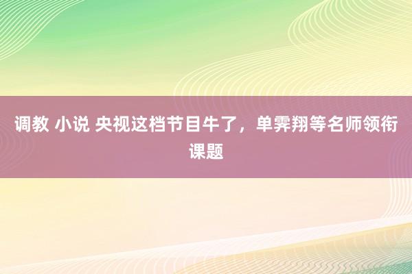 调教 小说 央视这档节目牛了，单霁翔等名师领衔课题