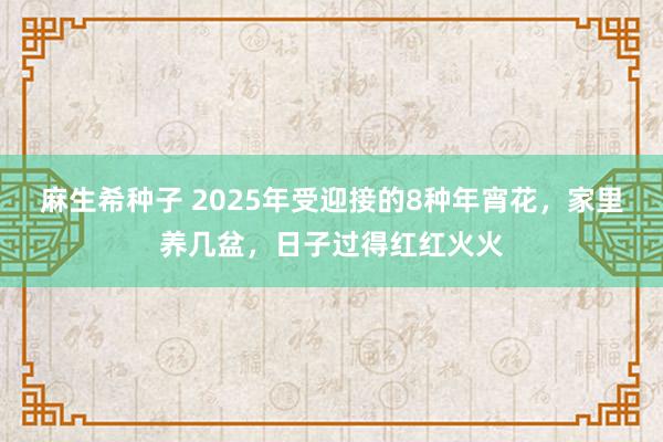 麻生希种子 2025年受迎接的8种年宵花，家里养几盆，日子过得红红火火
