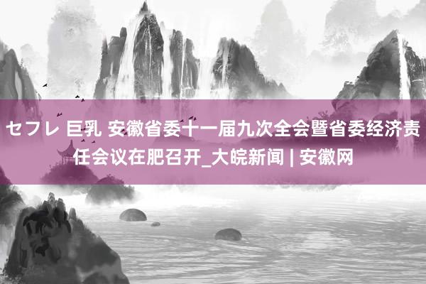 セフレ 巨乳 安徽省委十一届九次全会暨省委经济责任会议在肥召开_大皖新闻 | 安徽网
