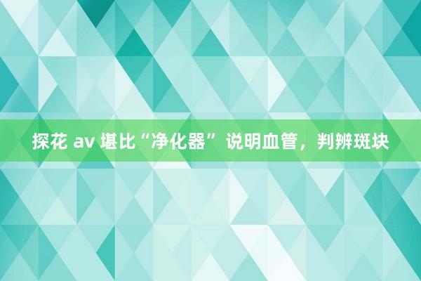 探花 av 堪比“净化器” 说明血管，判辨斑块