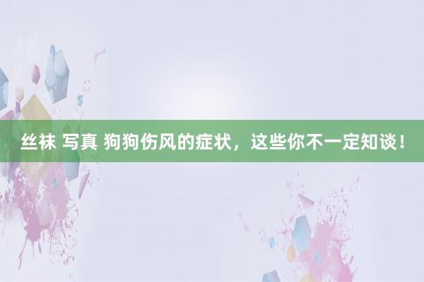 丝袜 写真 狗狗伤风的症状，这些你不一定知谈！
