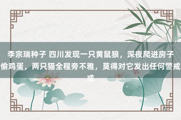 李宗瑞种子 四川发现一只黄鼠狼，深夜爬进房子偷鸡蛋，两只猫全程旁不雅，莫得对它发出任何警戒