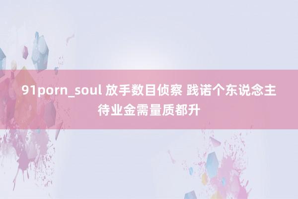 91porn_soul 放手数目侦察 践诺个东说念主待业金需量质都升