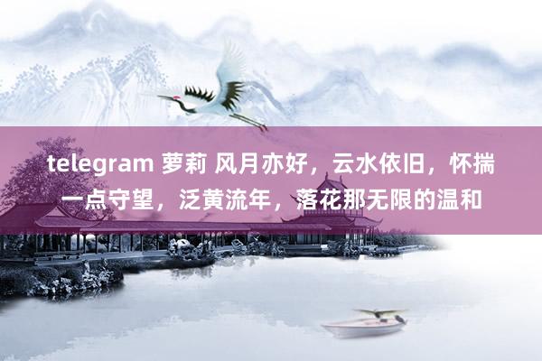 telegram 萝莉 风月亦好，云水依旧，怀揣一点守望，泛黄流年，落花那无限的温和