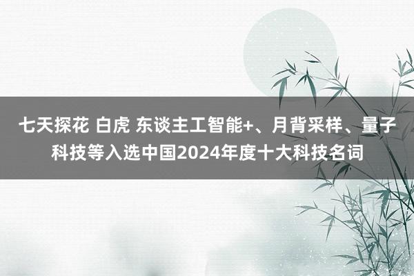 七天探花 白虎 东谈主工智能+、月背采样、量子科技等入选中国2024年度十大科技名词