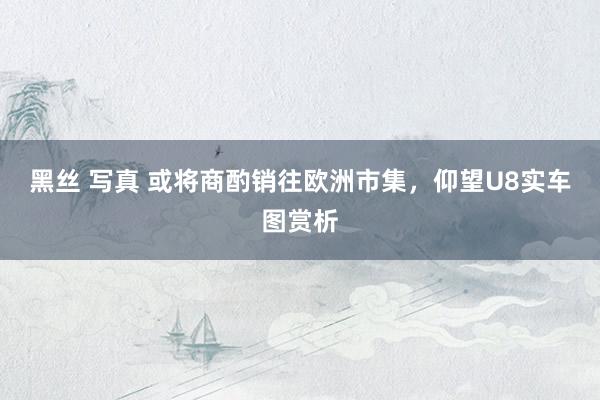 黑丝 写真 或将商酌销往欧洲市集，仰望U8实车图赏析