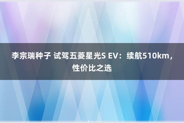 李宗瑞种子 试驾五菱星光S EV：续航510km，性价比之选