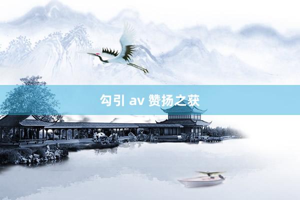 勾引 av 赞扬之获