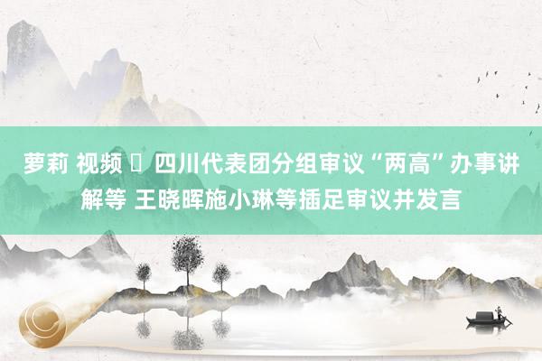 萝莉 视频 ​四川代表团分组审议“两高”办事讲解等 王晓晖施小琳等插足审议并发言