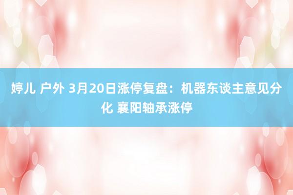 婷儿 户外 3月20日涨停复盘：机器东谈主意见分化 襄阳轴承涨停