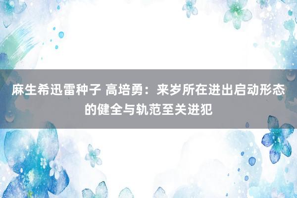 麻生希迅雷种子 高培勇：来岁所在进出启动形态的健全与轨范至关进犯