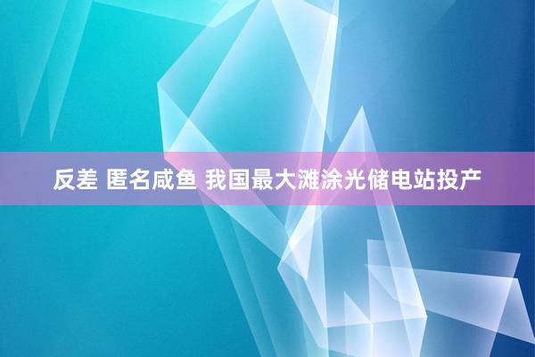 反差 匿名咸鱼 我国最大滩涂光储电站投产