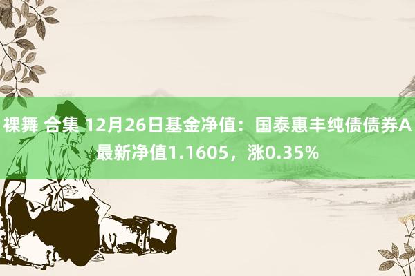 裸舞 合集 12月26日基金净值：国泰惠丰纯债债券A最新净值1.1605，涨0.35%