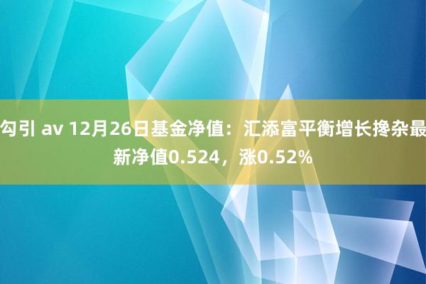 勾引 av 12月26日基金净值：汇添富平衡增长搀杂最新净值0.524，涨0.52%