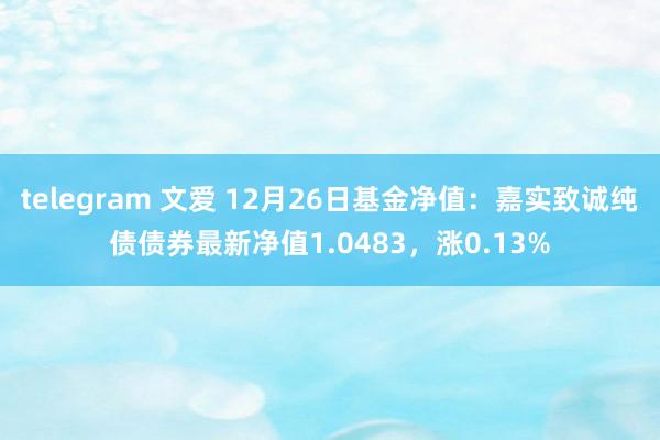 telegram 文爱 12月26日基金净值：嘉实致诚纯债债券最新净值1.0483，涨0.13%